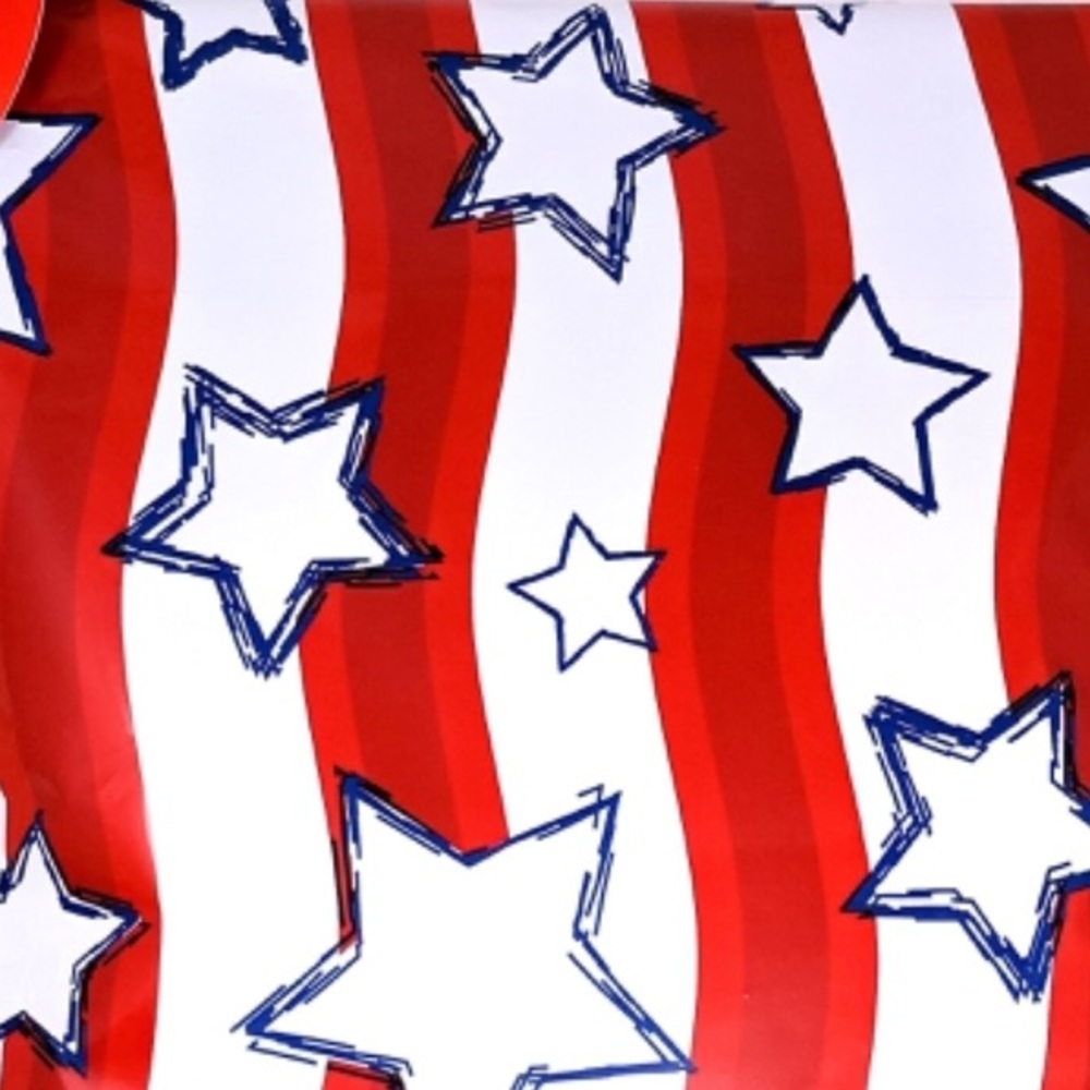 50 10X13 Stars Flag Mailers CLEARANCE - Picture 7 of 7